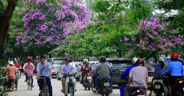 Thời tiết ngày 11/5: Miền Bắc dịu mát, Trung Bộ và Nam Bộ có mưa to