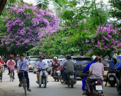 Thời tiết ngày 11/5: Miền Bắc dịu mát, Trung Bộ và Nam Bộ có mưa to