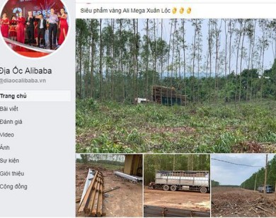 Tiếp tục cảnh báo về dự án “ma” của Công ty Alibaba tại Xuân Lộc - Đồng Nai