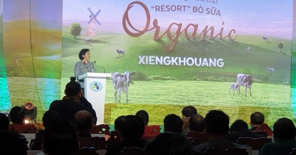 Vinamilk hợp tác với doanh nghiệp Lào, Nhật Bản, xây dựng tổ hợp "Resort" bò sữa Organic quy mô 5.000ha tại Lào