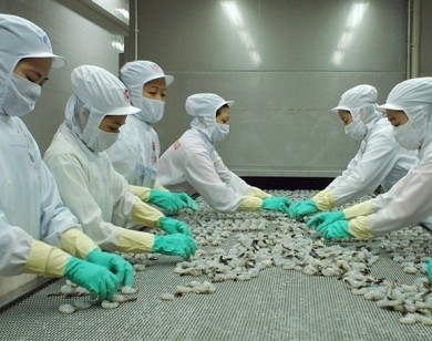 Tập đoàn Minh Phú phản bác cáo buộc của nghị sĩ Mỹ