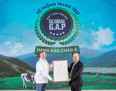 Dấu ấn Vinamilk trong sự phát triển ngành chăn nuôi bò sữa công nghệ cao Việt Nam