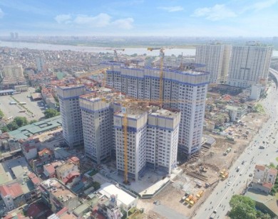 TP Hồ Chí Minh: HoREA chỉ cách thích ứng với siết tín dụng bất động sản