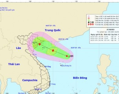 Áp thấp nhiệt đới khả năng mạnh thành bão, Bắc và Trung Bộ chủ động ứng phó