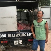 Bắt giữ xe tải chở gần 1 tấn thịt lợn chết đưa đi Hưng Yên tiêu thụ