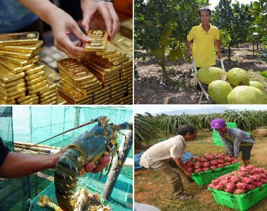 Tiêu dùng trong tuần: Giá vàng, tôm hùm giảm, trong khi giá trái cây tăng mạnh