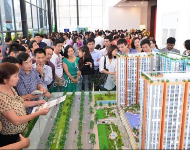 TP Hồ Chí Minh: Nhiều doanh nghiệp bất động sản đứng trước nguy cơ phá sản