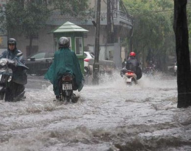 Bão đổ bộ Quảng Ninh - Hải Phòng đêm nay (2/8), mưa to diện rộng