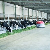 Vinamilk là thương hiệu có giá trị cao nhất Việt Nam năm 2019
