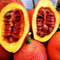 Bí quyết làm đẹp bằng quả gấc hiệu quả
