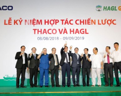 Thaco đã đầu tư tổng cộng 22.194 tỷ đồng trong hợp tác với HAGL