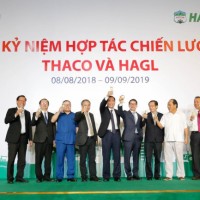 Thaco đã đầu tư tổng cộng 22.194 tỷ đồng trong hợp tác với HAGL