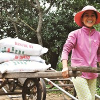 Sức bật mới từ truyền thống đáng tự hào của PVFCCo