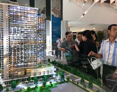 TP Hồ Chí Minh: Doanh nghiệp bất động sản “ém” thông tin dự án sẽ bị đình chỉ kinh doanh 1 năm