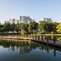 Thanh tra chậm báo cáo, doanh nghiệp thiệt hại hàng triệu USD