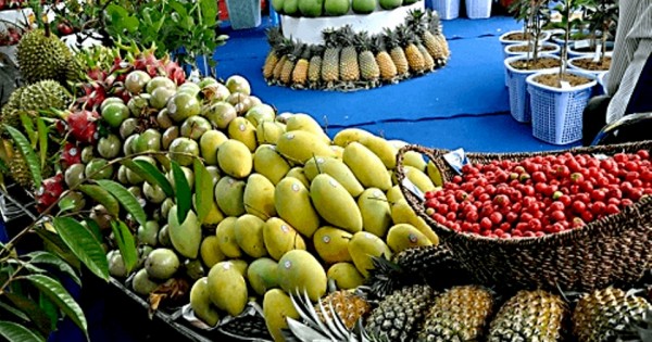 Mỗi ngày Hà Nội tiêu thụ hơn 1.000 tấn trái cây Nam Bộ