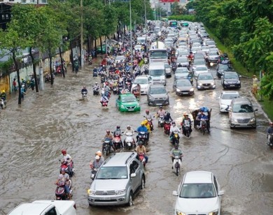 TP Hồ Chi Minh: Gần 500 tỷ đồng nâng đường Nguyễn Hữu Cảnh lên 1,2m để chống ngập