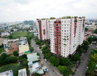 TP Hồ Chí Minh: Một doanh nghiệp bất động sản nợ thuế hơn 455 tỷ đồng