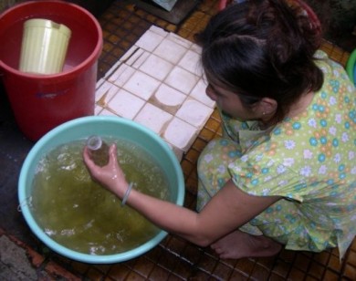 TP Hồ Chí Minh:  Yêu cầu quan trắc chất lượng nước đầu nguồn
