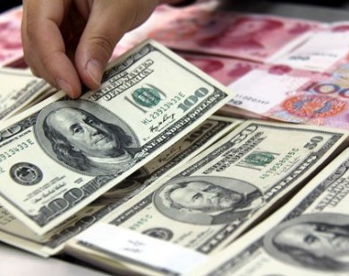 Tỷ giá USD hôm nay 11/11: Đồng USD tăng liên tiếp