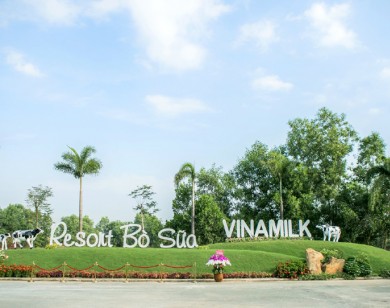 Vinamilk giới thiệu resort bò sữa lớn nhất châu Á tại Vietnam PFA 2019