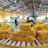 Nhiều cơ hội cho doanh nghiệp cao su Việt Nam hợp tác với các đối tác nước ngoài