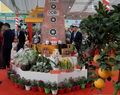 Festival sản phẩm nông nghiệp và làng nghề Hà Nội năm 2019: Đẩy mạnh kết nối tiêu thụ sản phẩm