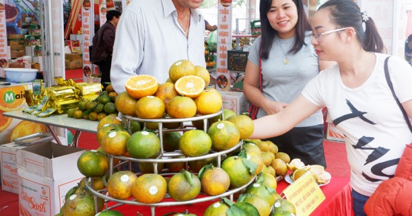 Cam sành Hà Giang 'đổ bộ' Hà Nội