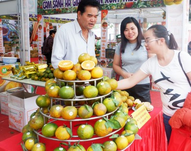 Cam sành Hà Giang 'đổ bộ' Hà Nội