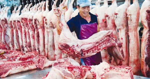 TP Hồ Chí Minh: Kiến nghị nhập khẩu thịt heo đông lạnh trong “cơn bão” tăng giá