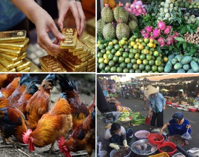 Tiêu dùng trong tuần: Giá vàng, thực phẩm và trái cây đồng loạt tăng mạnh