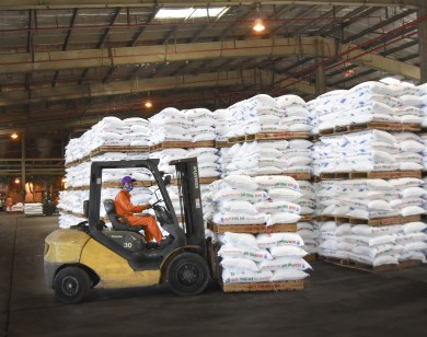Năm 2019 PVFCCo cung ứng gần 1 triệu tấn phân bón hóa chất