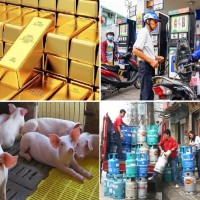 Tiêu dùng trong tuần: Giá vàng, xăng dầu, gas, heo và trái cây đồng loạt tăng mạnh