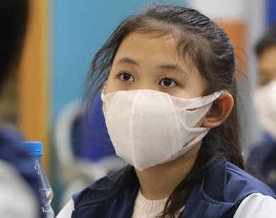 Sở GD&ĐT TP Hồ Chi Minh đề xuất cho học sinh nghỉ thêm 1 tuần để tránh dịch virus Corona