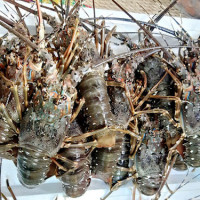 Lợi dụng “giải cứu” bán hàng giá cao, người tiêu dùng cẩn thận