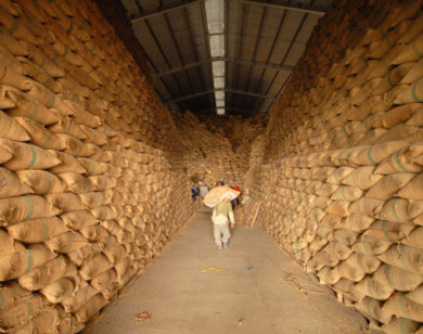 Thủ tướng yêu cầu Bộ Tài chính, Bộ Công thương báo cáo việc doanh nghiệp mở tờ khai xuất gạo