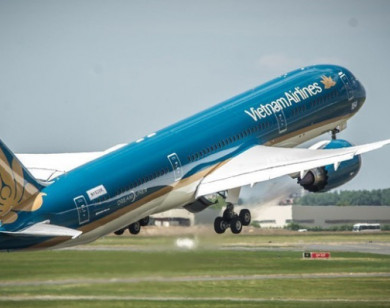 Bảo hộ cho Vietnam Airlines có sai luật?