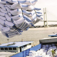 Vụ “Mở tờ khai xuất khẩu gạo lúc 0 giờ”: Có hay không sự can thiệp của con người vào mạng?