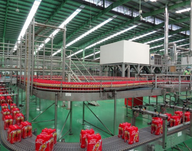 Khám phá bên trong nhà máy sản xuất Trà Dr Thanh giúp tăng hệ miễn dịch