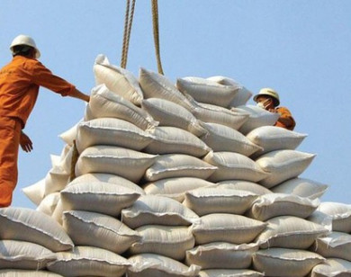 Cần cấm những doanh nghiệp này xuất khẩu gạo và cung cấp gạo dự trữ quốc gia