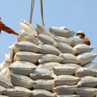 Cần cấm những doanh nghiệp này xuất khẩu gạo và cung cấp gạo dự trữ quốc gia