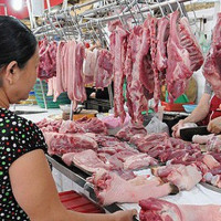 [Tiếng dân] Giá thịt heo tăng một cách đáng nghi ngờ!