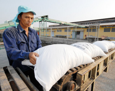 Bộ Công thương tiếp tục đề xuất bỏ hạn ngạch xuất khẩu gạo
