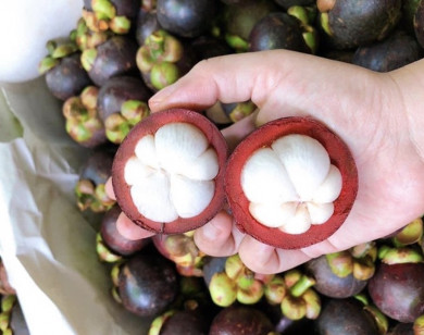 Măng cụt Thái giá cao nhưng vẫn “được lòng” người Sài Gòn
