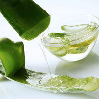 3 cách trị mụn ẩn dưới da với nha đam