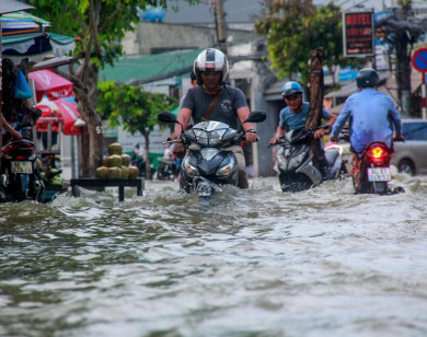 TP Hồ Chí Minh: Điều chỉnh hướng lưu thông đường Huỳnh Tấn Phát và Trần Xuân Soạn