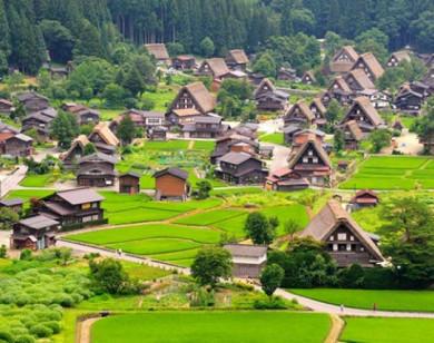 Cảnh đồng quê Nhật Bản đẹp như tranh vẽ