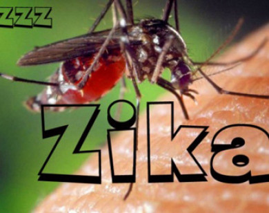 Phát hiện 1 nam thanh niên ở Đà Nẵng nhiễm Zika