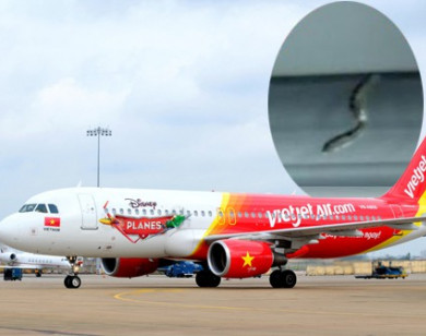 Phát hiện rắn trong khoang hành khách máy bay của Vietjet Air