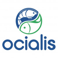 Ocialis công bố nhận diện thương hiệu mới 